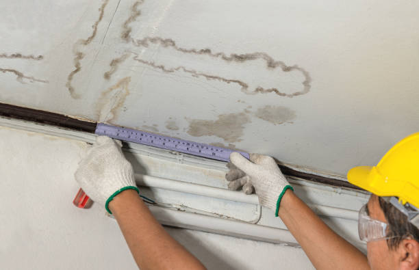 Reliable Water Damage contractor in Spirit Lake, ID by Water Damage Irwin